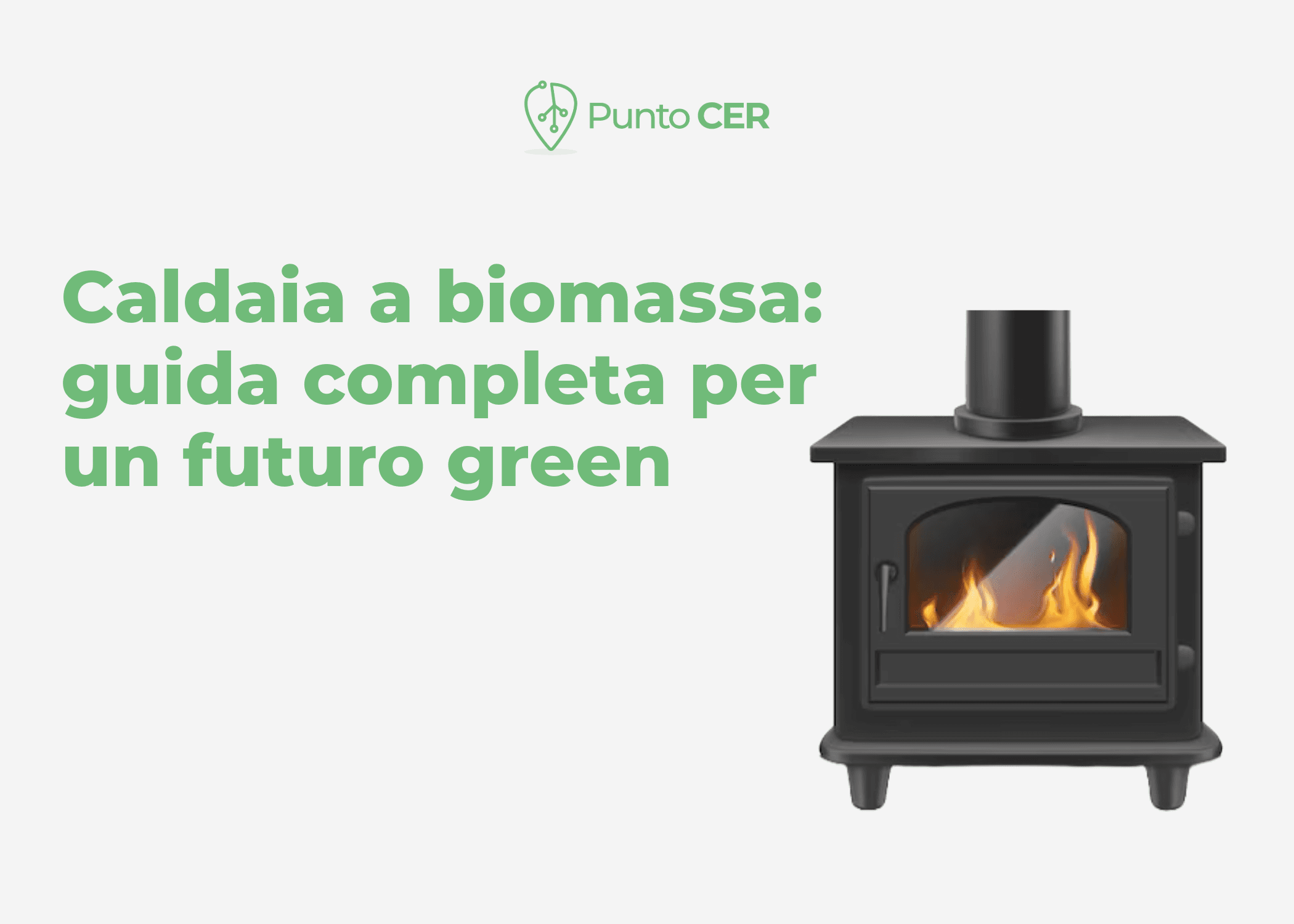 Caldaia a biomassa: guida completa per un futuro green